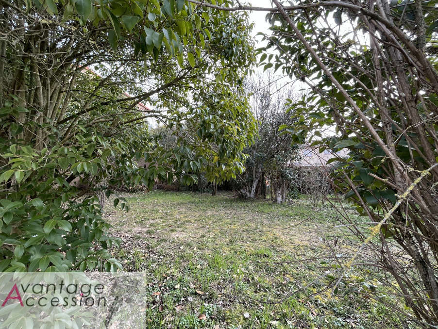 Terrain à SEGOUFIELLE