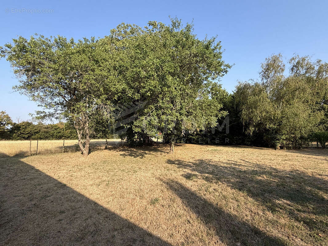 Maison Savigny En Sancerre 3 pièce(s) - photo 11