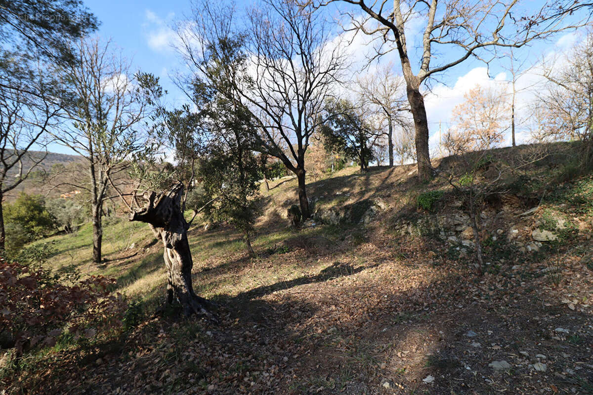 A VENDRE ! Terrain constructible à Montferrat - 1000 m² - photo 2