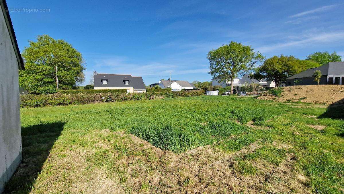 Terrain à LA CHAPELLE-LAUNAY