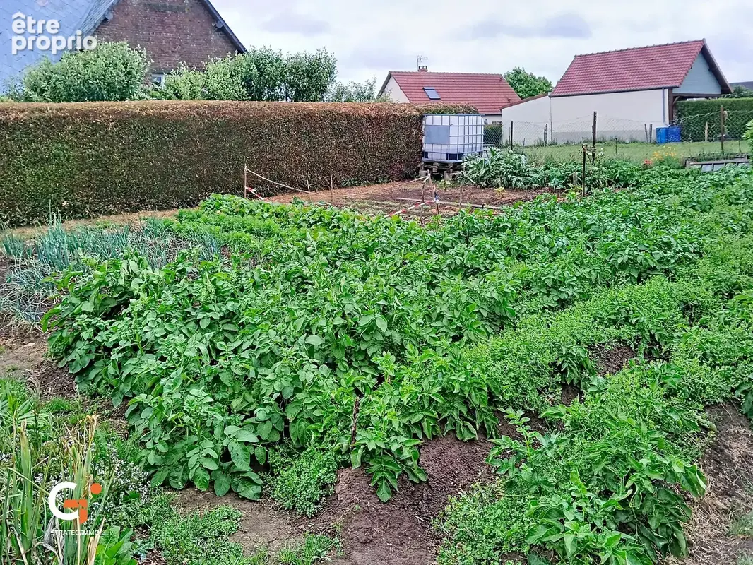 Ancien corps de ferme à haut potentiel — 170 m²² sur environ 4 088 m² de terrain - photo 15