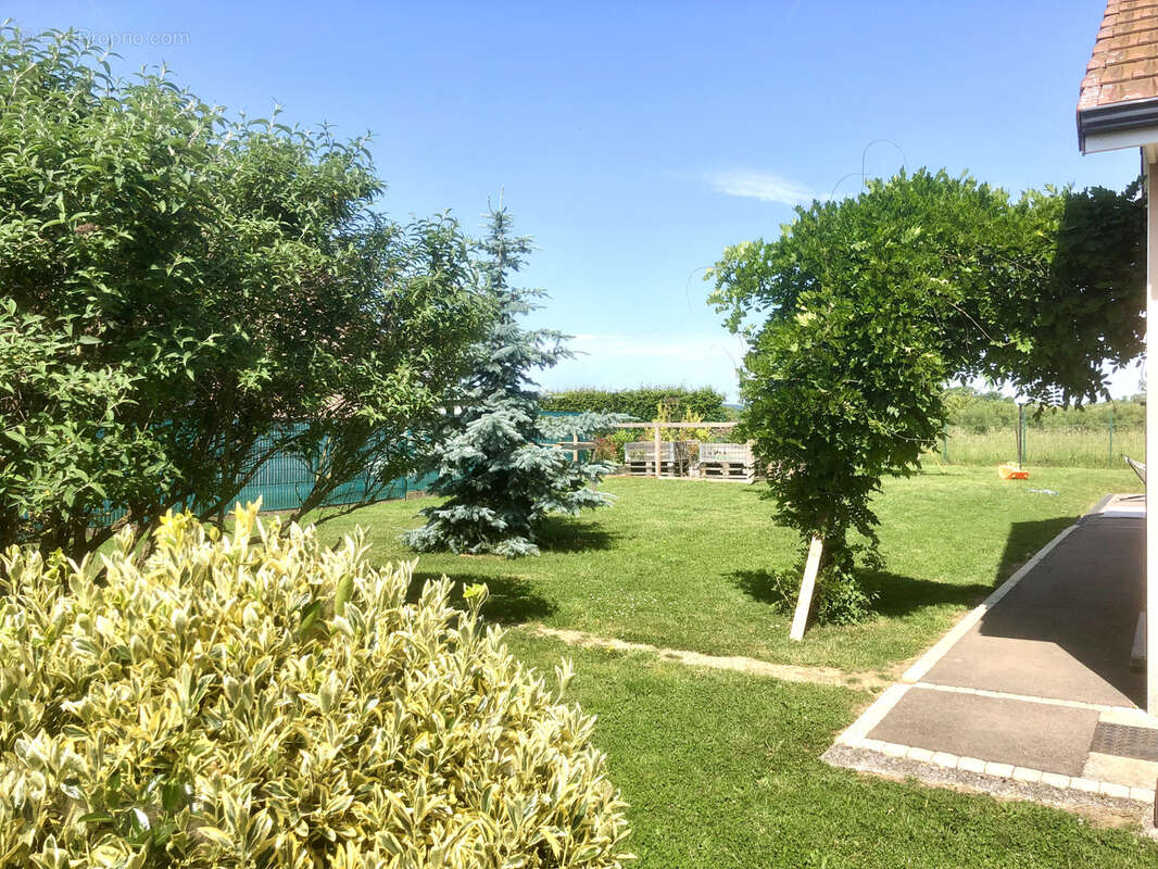 Maison à BULGNEVILLE