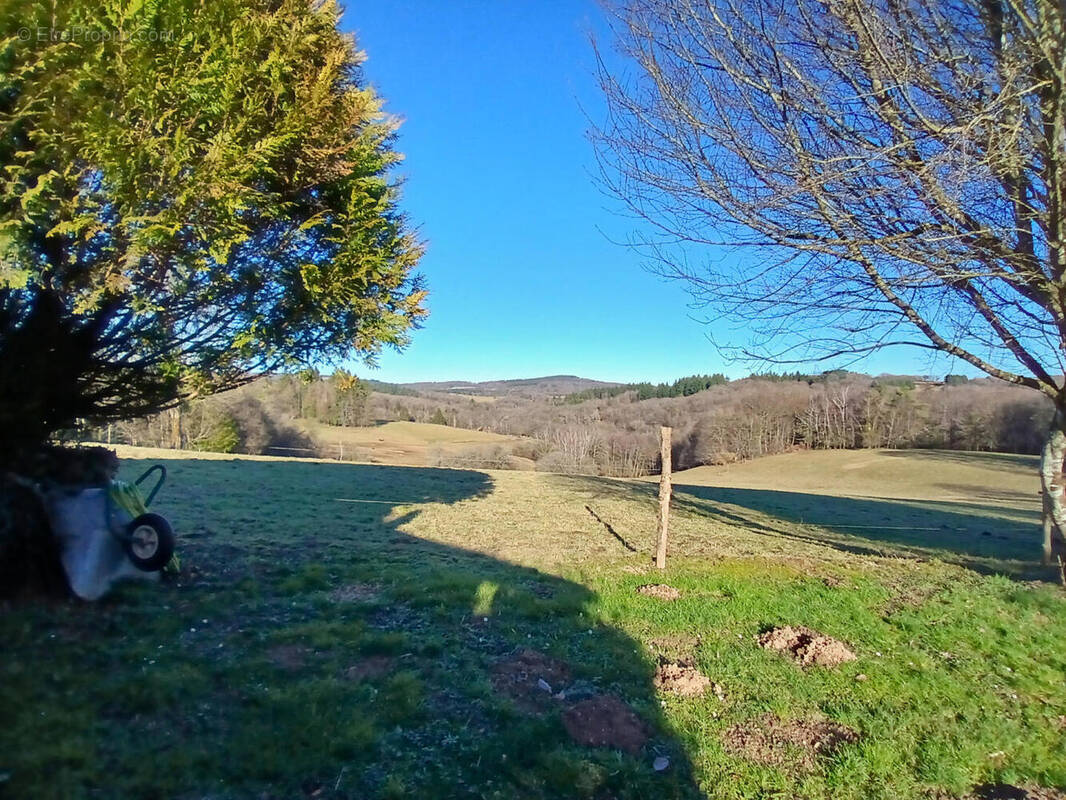 La vue - Maison à SAINT-PRIEST-LES-FOUGERES