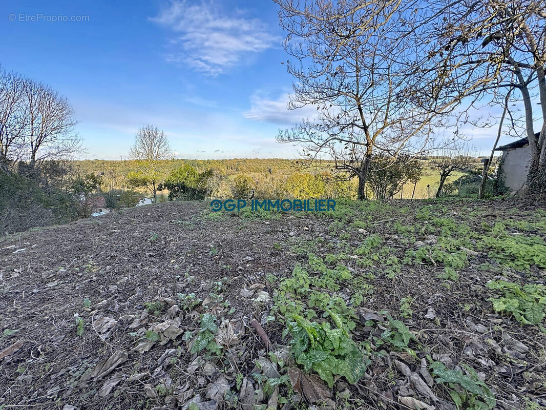 Terrain à MONTAUBAN