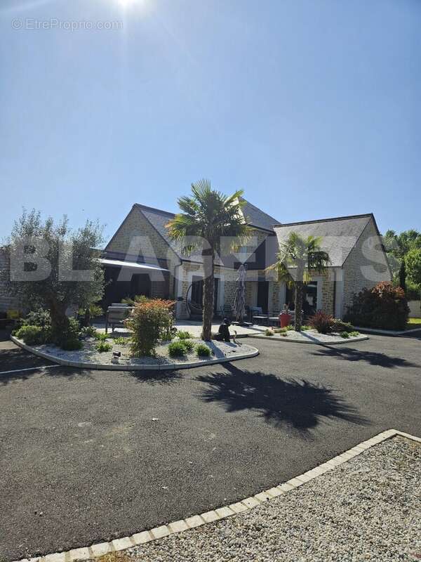 EXTERIEUR TERRASSE 1 - Maison à BALLAN-MIRE