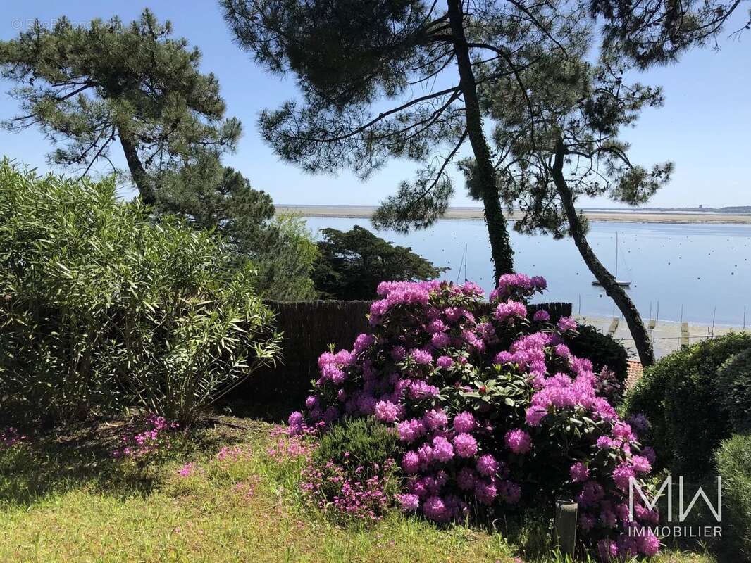 Maison à LEGE-CAP-FERRET