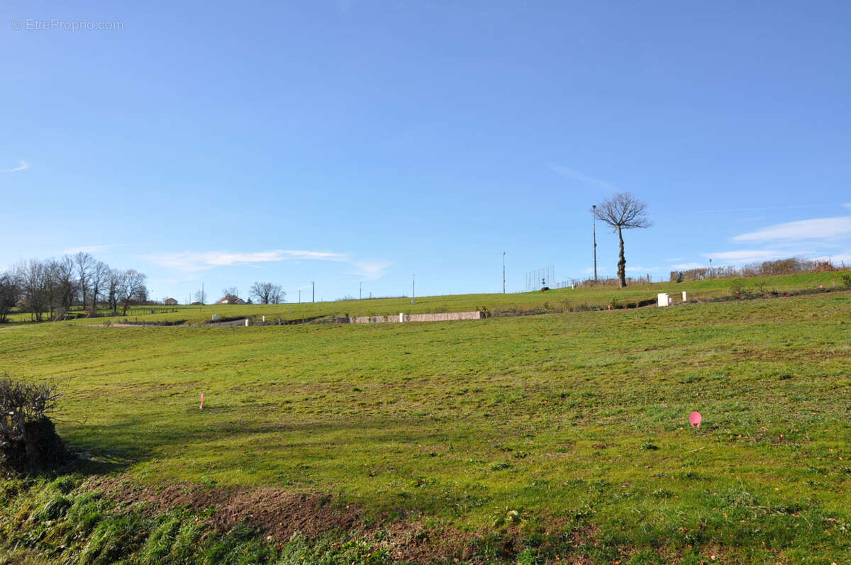 Terrain à LE BREUIL
