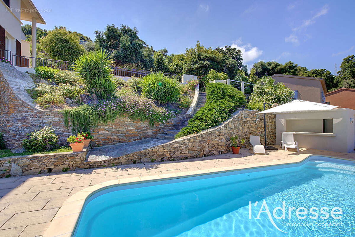 Maison BASTIA MONSERATO 6 pièces 180 m2 piscine studio indépendant - photo 2