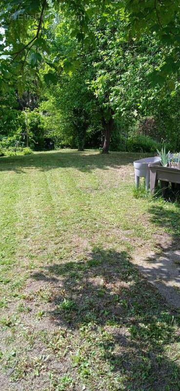 Maison à WISSEMBOURG