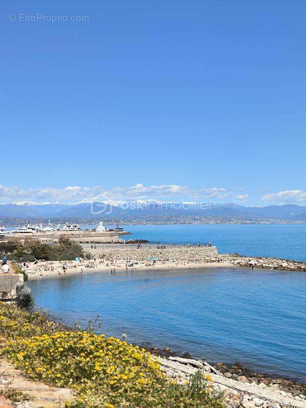 Nouveaute !!! magnifique duplex antibes - photo 30