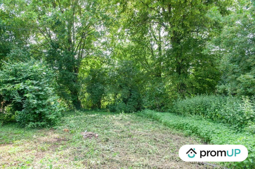 Terrain à BUIRE-COURCELLES