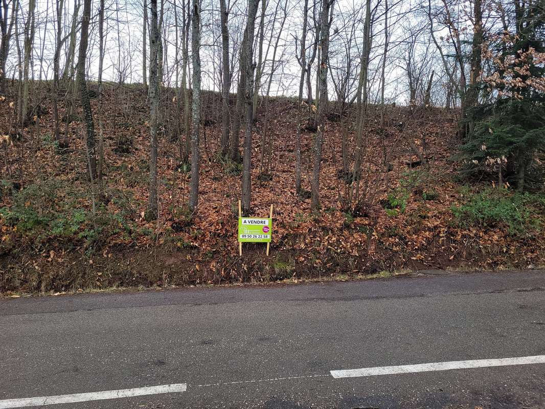 Terrain de 52 ares constructible - MARMOUTIER - photo 5