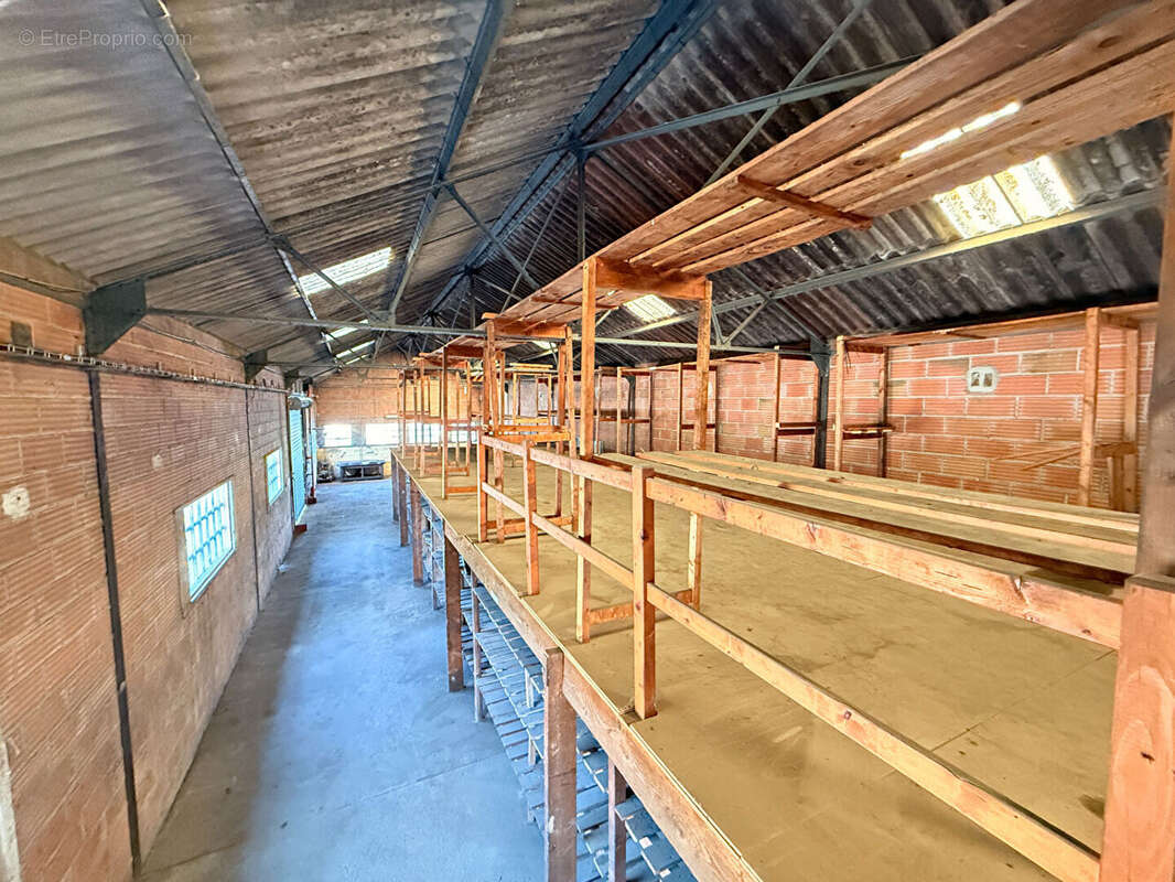 Entrepôt / local industriel Moult Chicheboville 488.55 m2 - photo 5