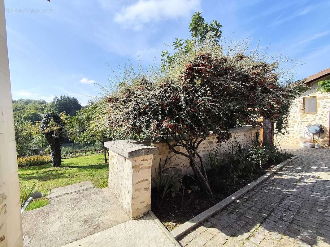 Maison 200 m² à Chasseneuil-Sur-Bonnieure  - photo 6