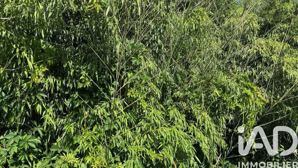 Photo 2 - Terrain à ROMILLY-SUR-SEINE