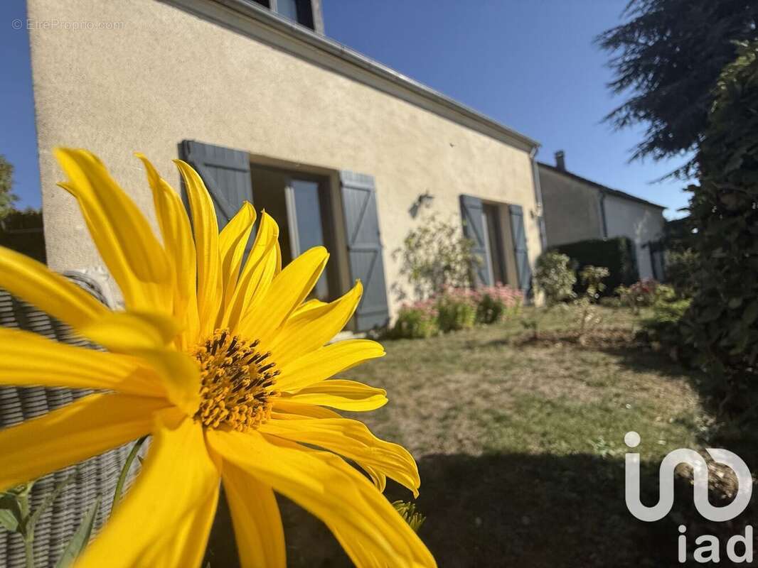 Photo 5 - Maison à ANDRESY