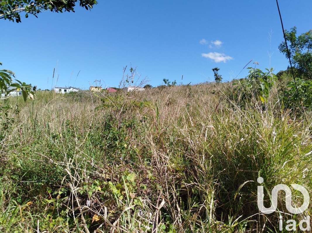 Photo 2 - Terrain à SAINT-JOSEPH