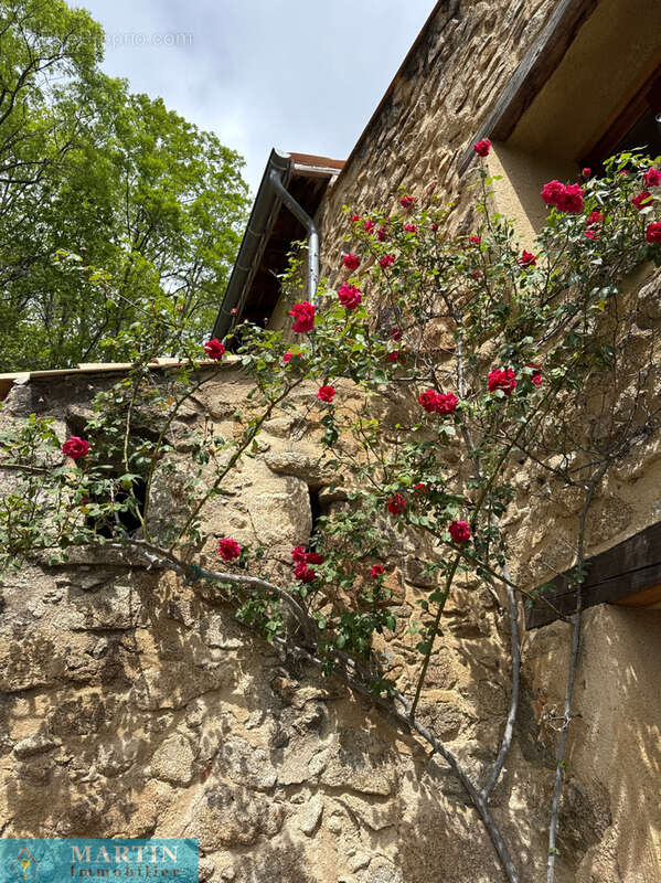 Maison à CORSAVY
