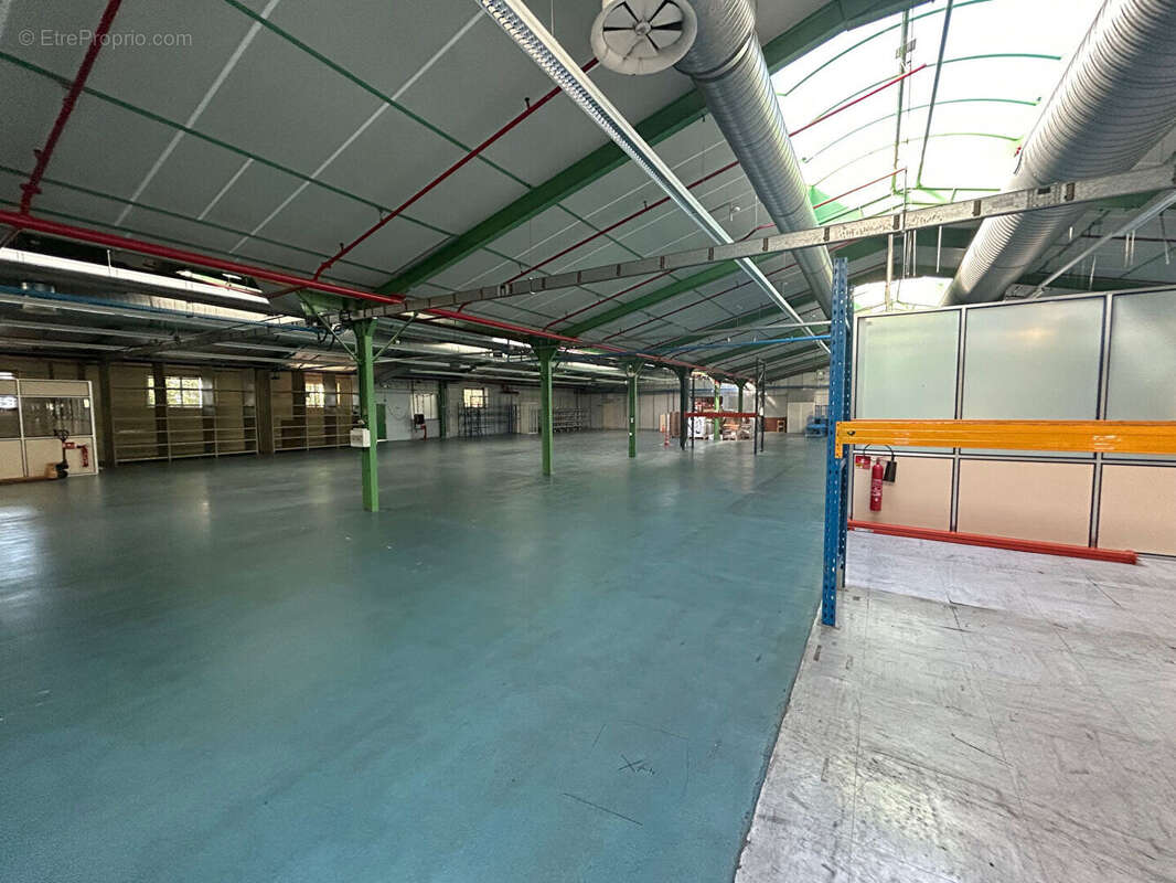 Commerce à DOUARNENEZ