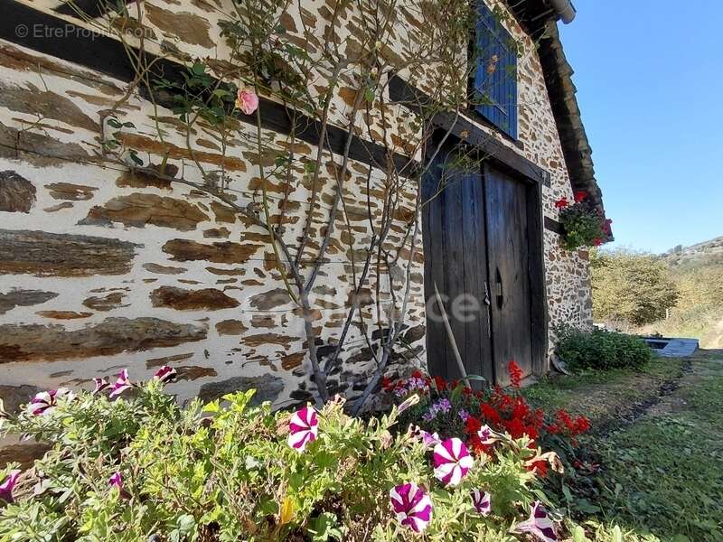 Maison à VIEILLEVIE