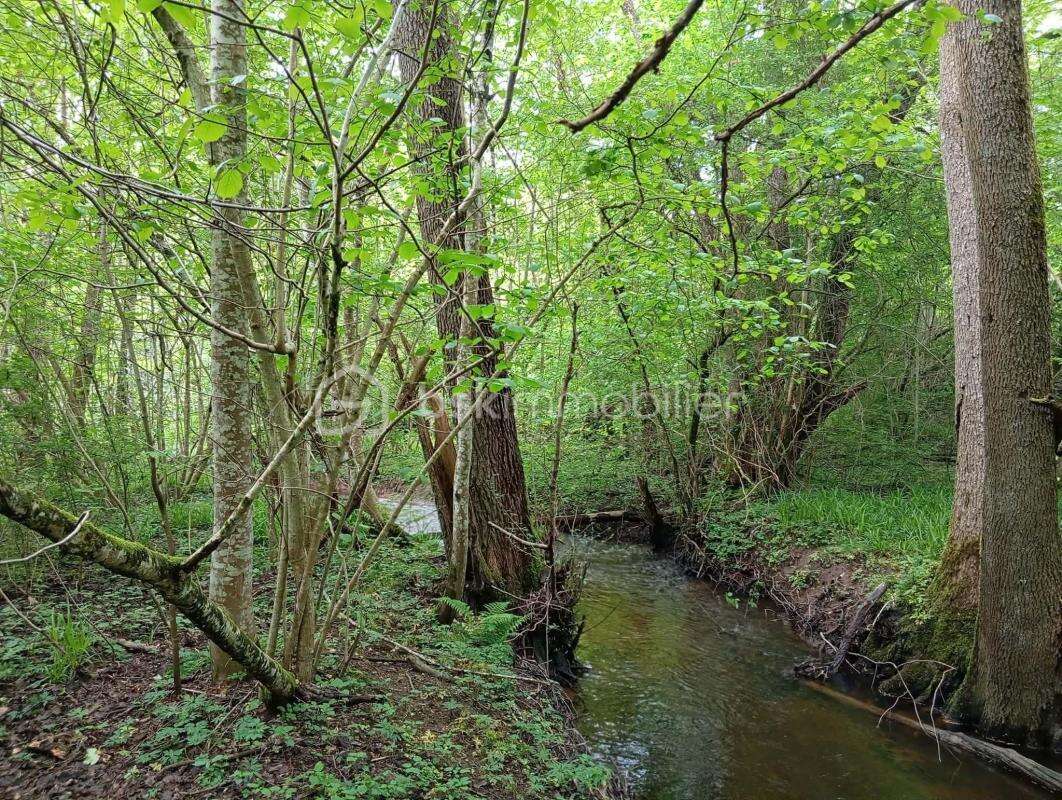 Terrain à POURU-AUX-BOIS