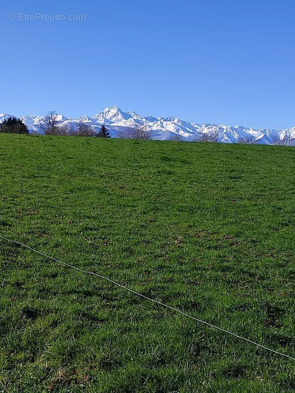 Terrain à HOUEYDETS
