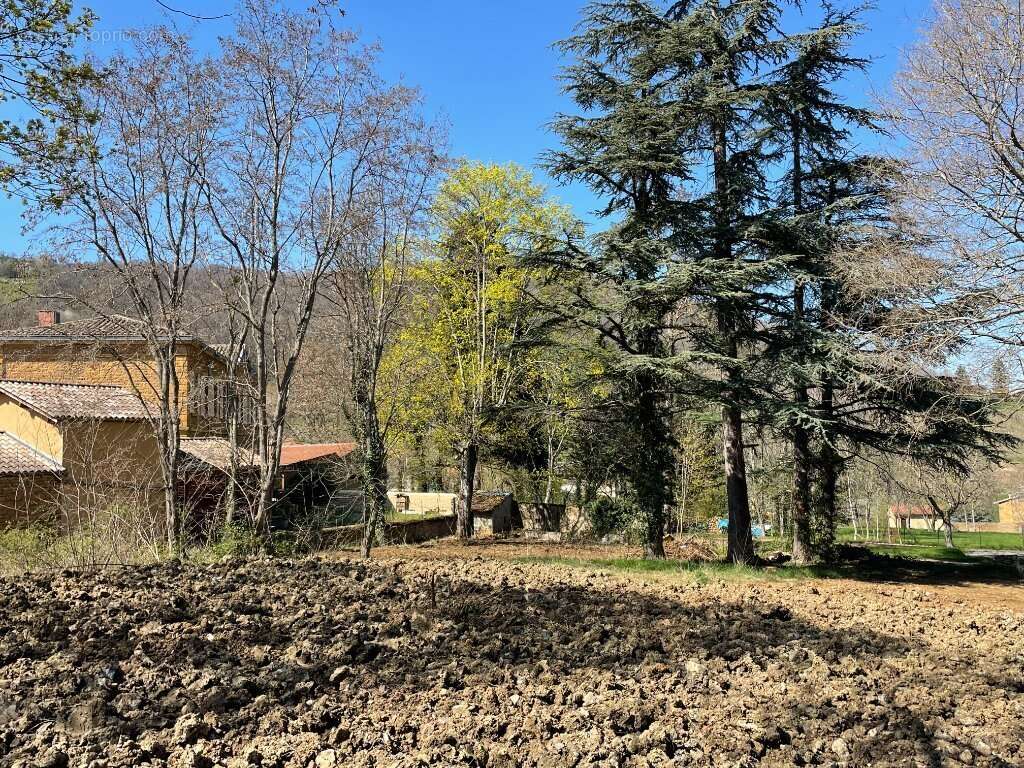 Terrain à VILLE-SUR-JARNIOUX
