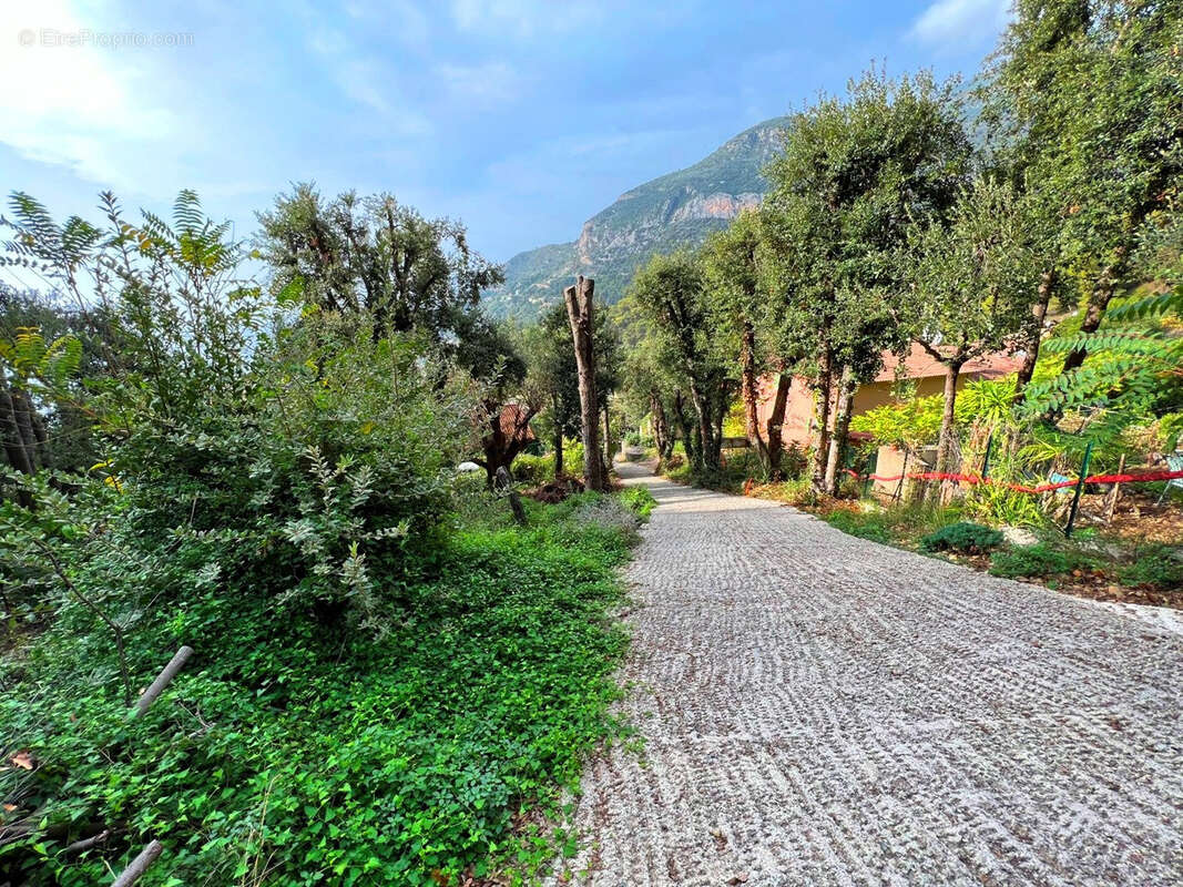 Maison à ROQUEBRUNE-CAP-MARTIN