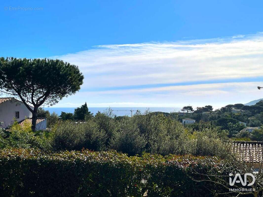 Photo 3 - Maison à RAMATUELLE