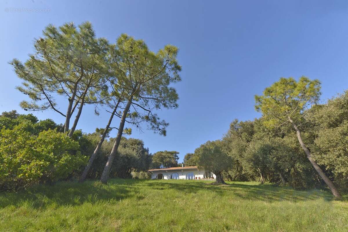 Maison 112 m² à Royan  - photo 4