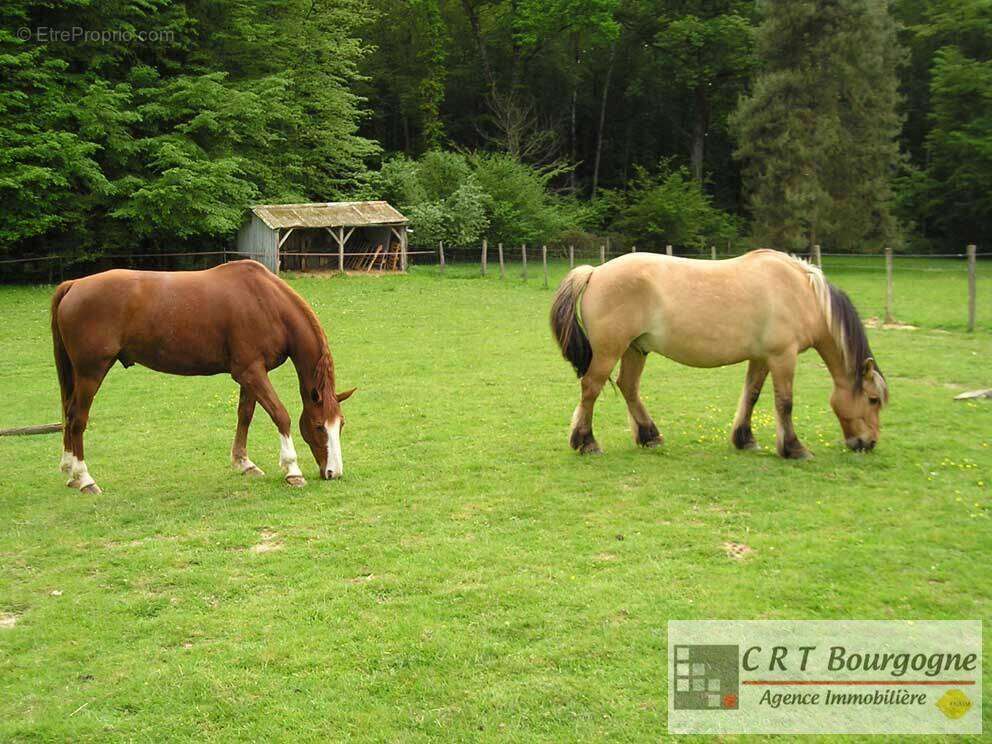 Maison à MOULINS-SUR-OUANNE