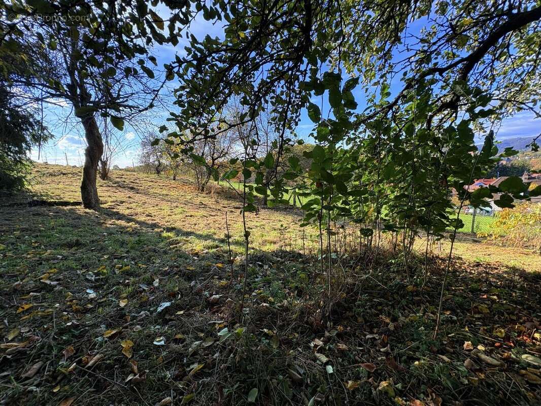 Photo 9 - Maison à REICHSHOFFEN