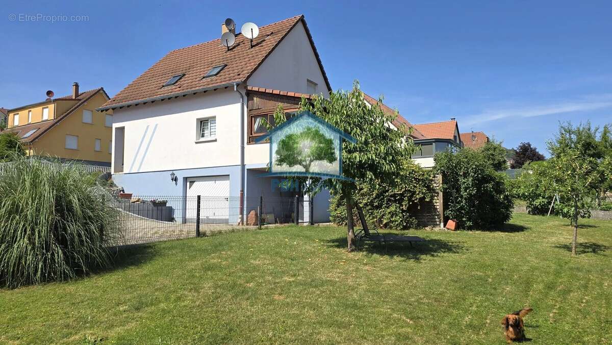 Offwiller (67) - maison 126 m² sur 8 ares - photo 13