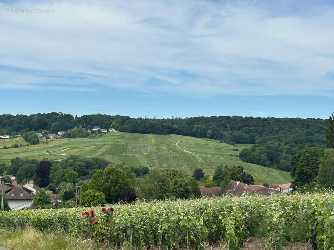 Maison 199 m² à Saint-Martin-D'ablois  - photo 4