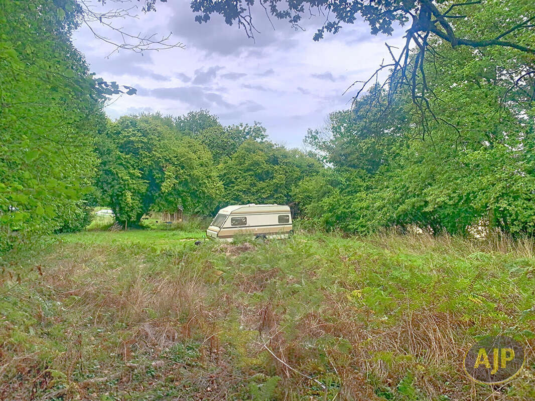 Terrain à BOUILLE-MENARD