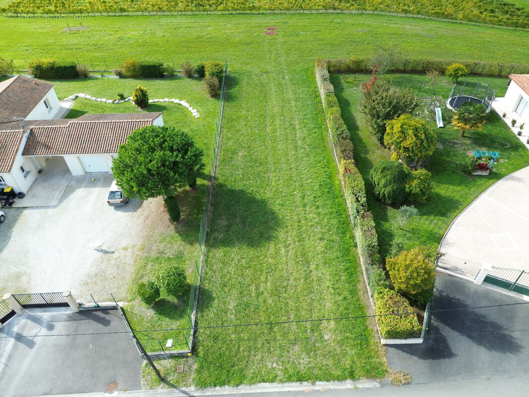 Terrain à BARBEZIEUX-SAINT-HILAIRE