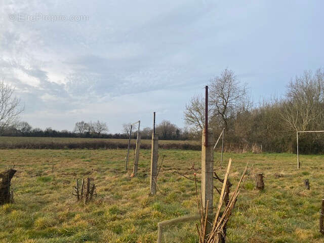Terrain à TALMONT-SAINT-HILAIRE