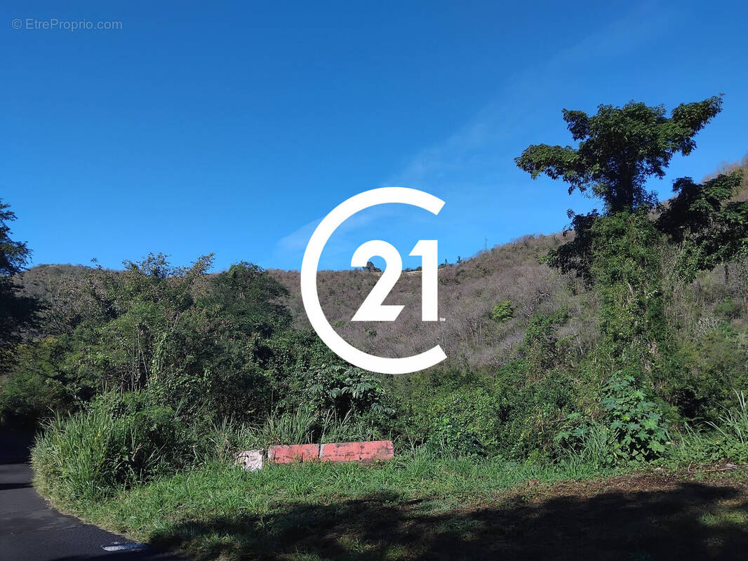 Terrain à BELLEFONTAINE