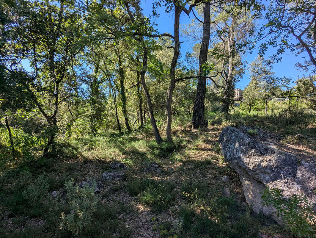 Terrain à SILLANS-LA-CASCADE