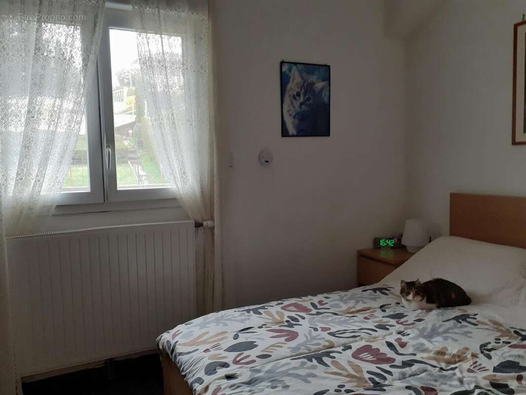 Photo 7 - Maison à SAINT-CHAMOND