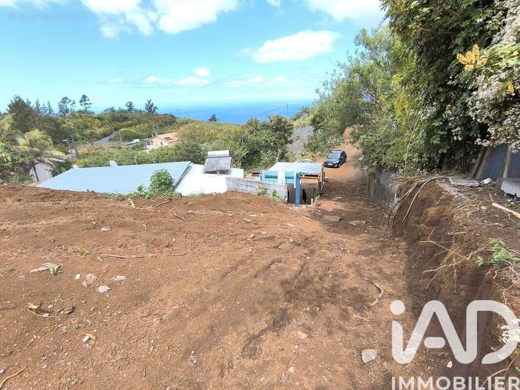 Photo 4 - Maison à PETITE-ILE