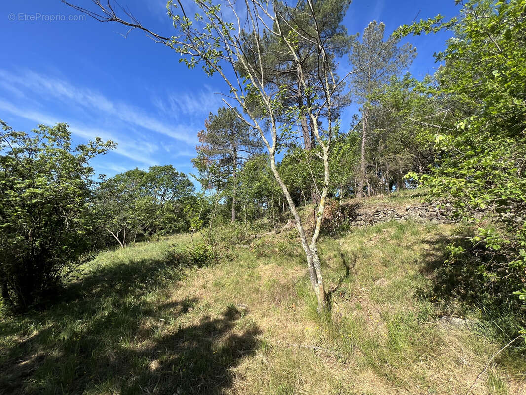 Terrain à SAINT-JEAN-DU-PIN