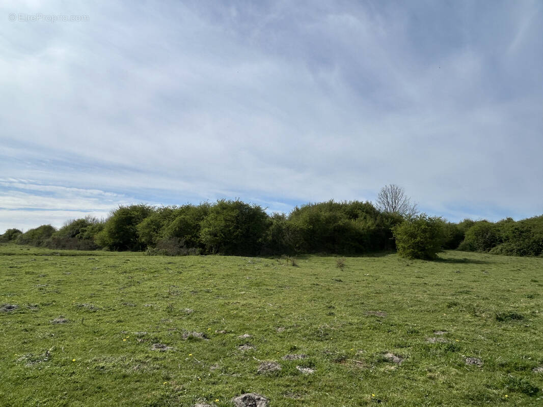 Terrain à CAYEUX-SUR-MER