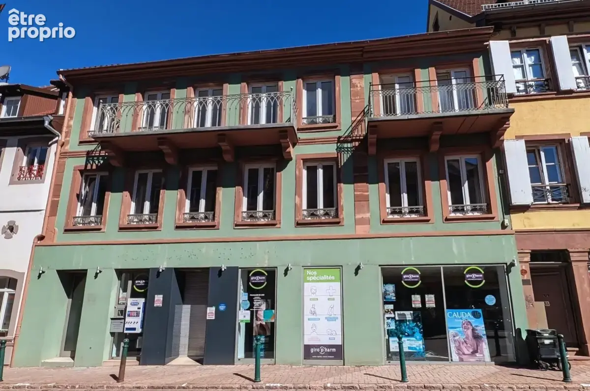Photo Commerce à Wasselonne au prix de 250 000€