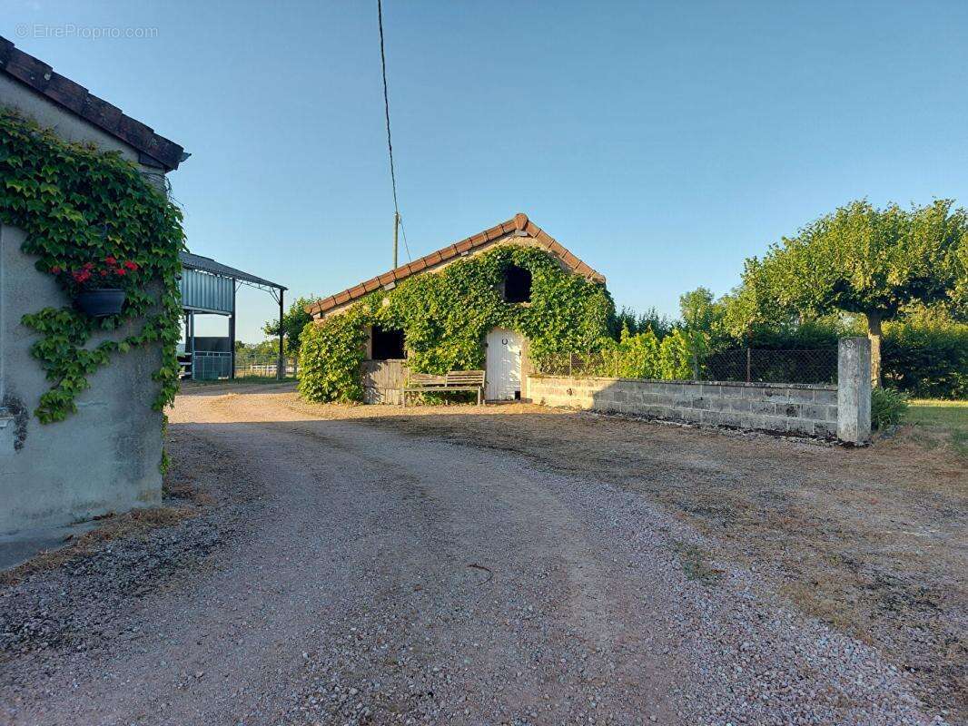 Propriété avec 2 maisons, dépendances et terrain sans vis-à-vis Montmort 260 m2 - photo 5