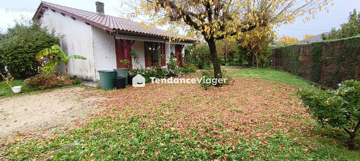 Autre à SAINTE-LIVRADE-SUR-LOT