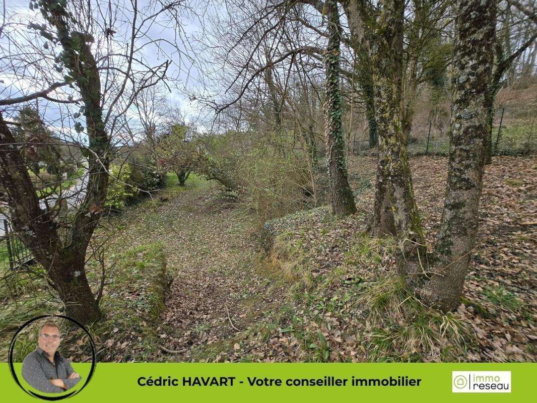 Terrain à SEIGY