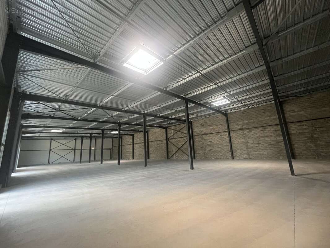 Commerce à BENESSE-MAREMNE