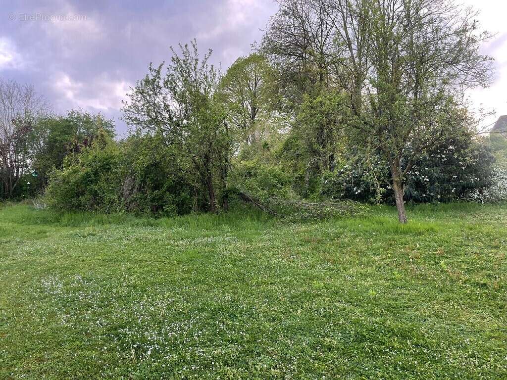 Terrain à ISLES-SUR-SUIPPE