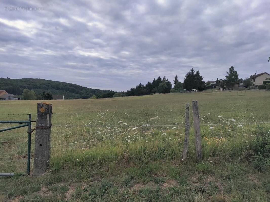 Terrain à LE VERNET